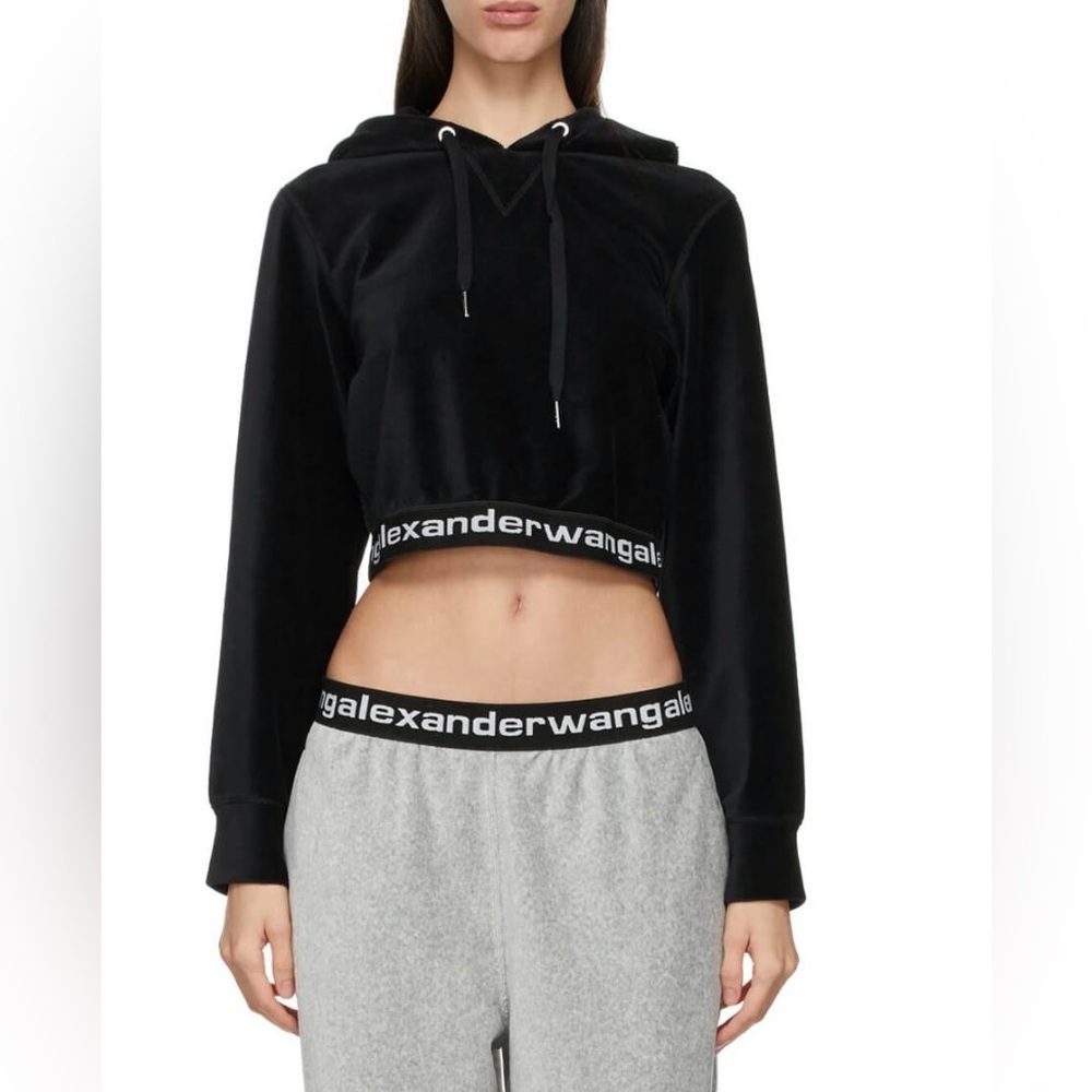alexanderwang cropped hoodie